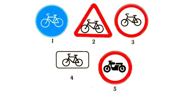 What sign is called "Intersection with a bicycle lane"?